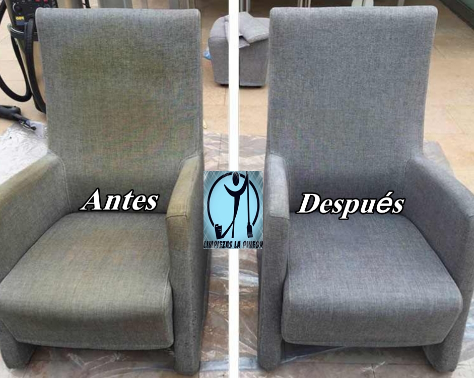 Limpieza de sofa
